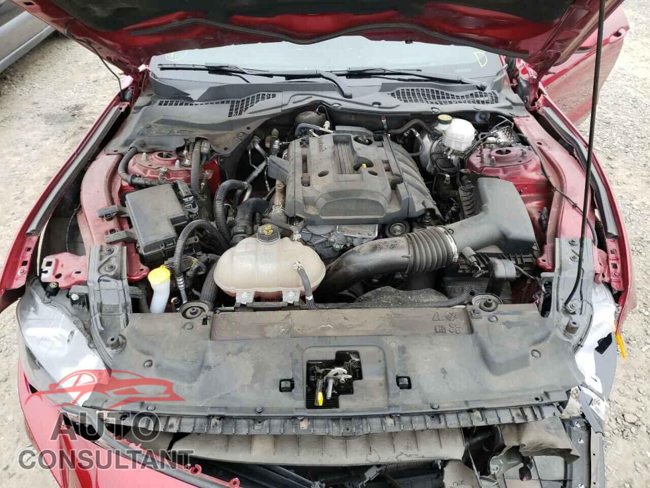 FORD MUSTANG 2019 - 1FA6P8TH9K5135494
