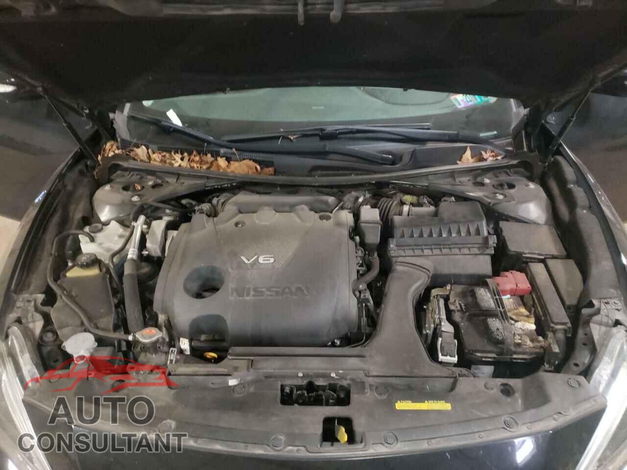 NISSAN MAXIMA 2017 - 1N4AA6AP2HC431293