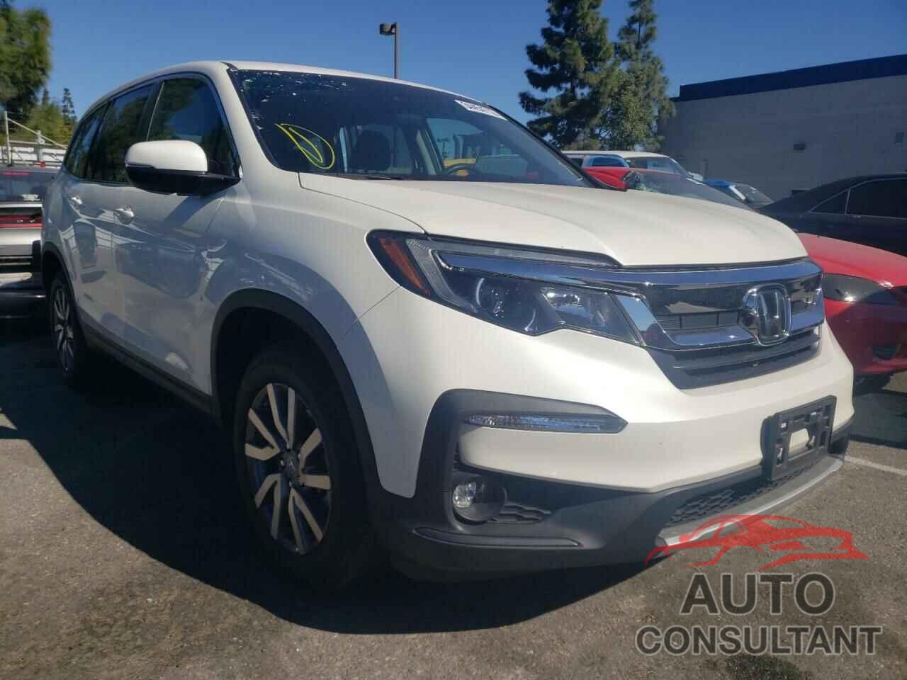 HONDA PILOT 2019 - 5FNYF5H34KB023816