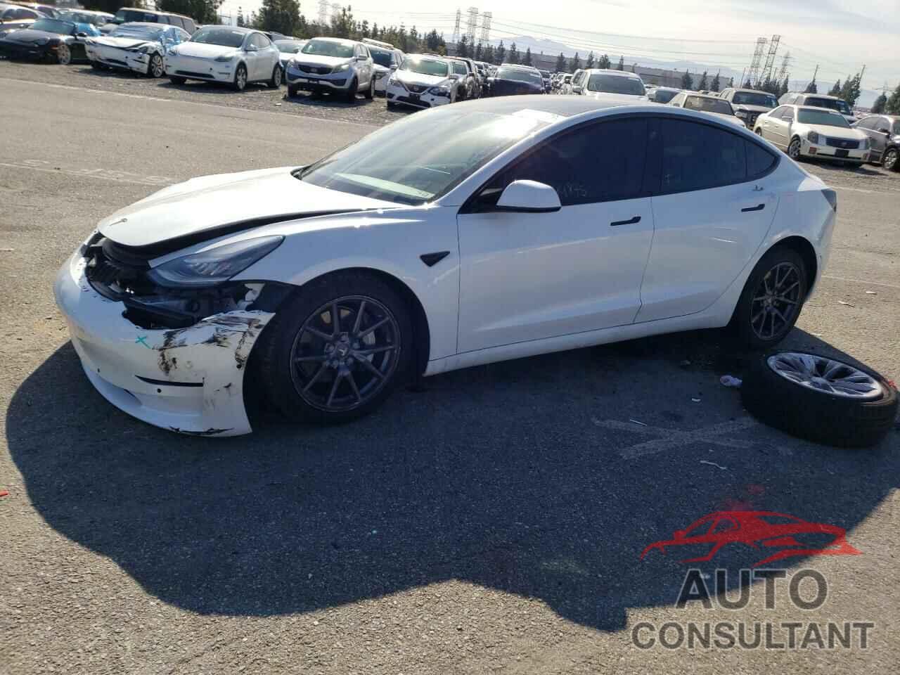 TESLA MODEL 3 2020 - 5YJ3E1EAXLF613688