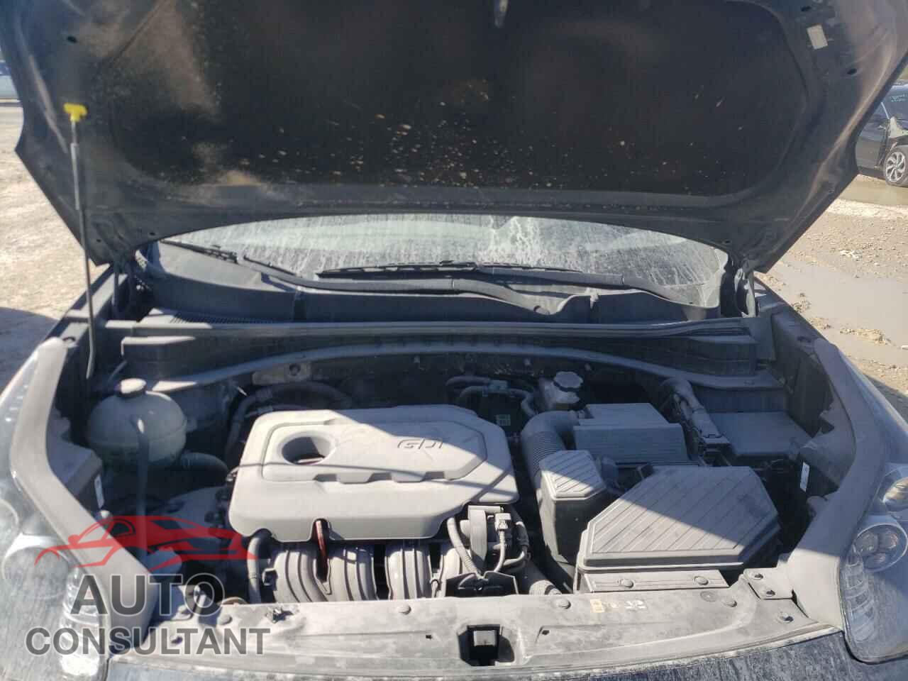 KIA SPORTAGE 2019 - KNDPM3ACXK7514932