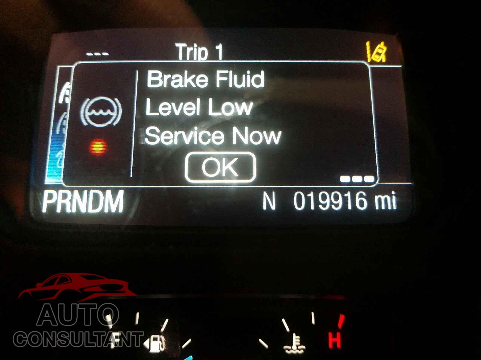FORD TRANSIT CO 2019 - 1FTBW2ZG8KKB80211