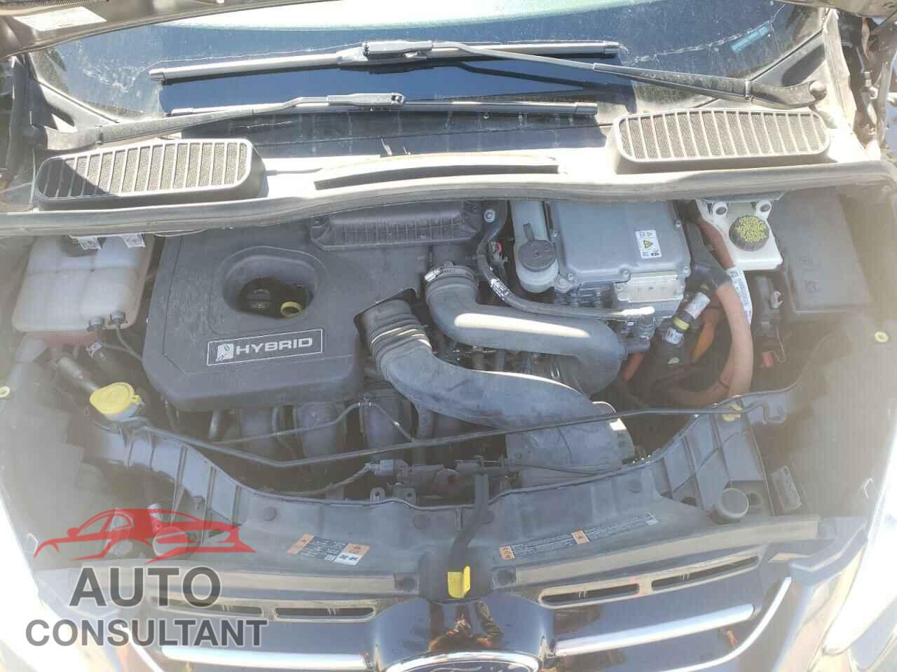 FORD CMAX 2016 - 1FADP5BUXGL120963