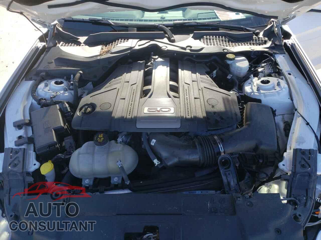 FORD MUSTANG 2019 - 1FA6P8CF3K5189646