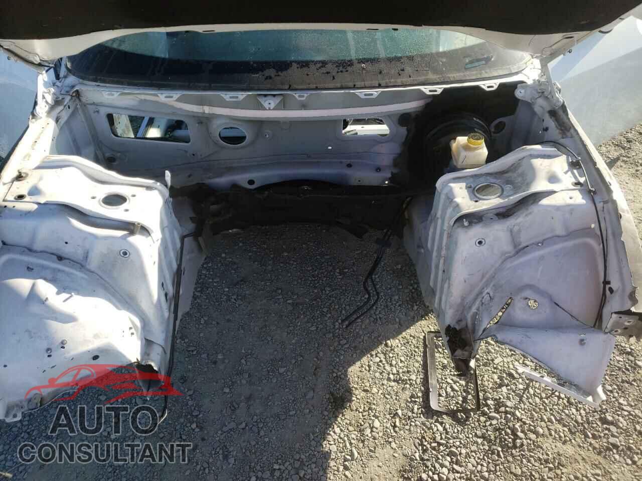 DODGE CHALLENGER 2019 - 2C3CDZAG3KH530239
