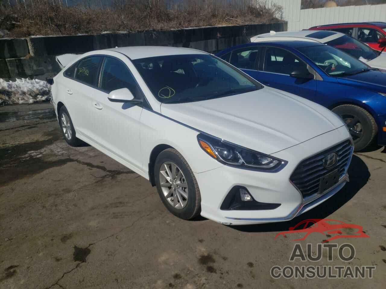 HYUNDAI SONATA 2019 - 5NPE24AF2KH804395