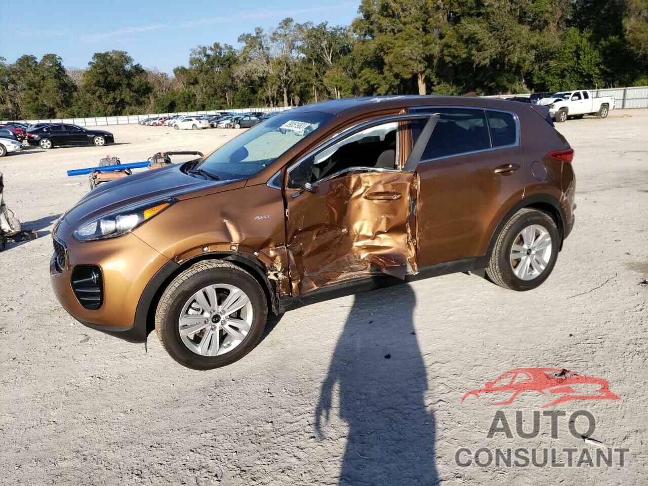 KIA SPORTAGE 2019 - KNDPMCAC9K7491451