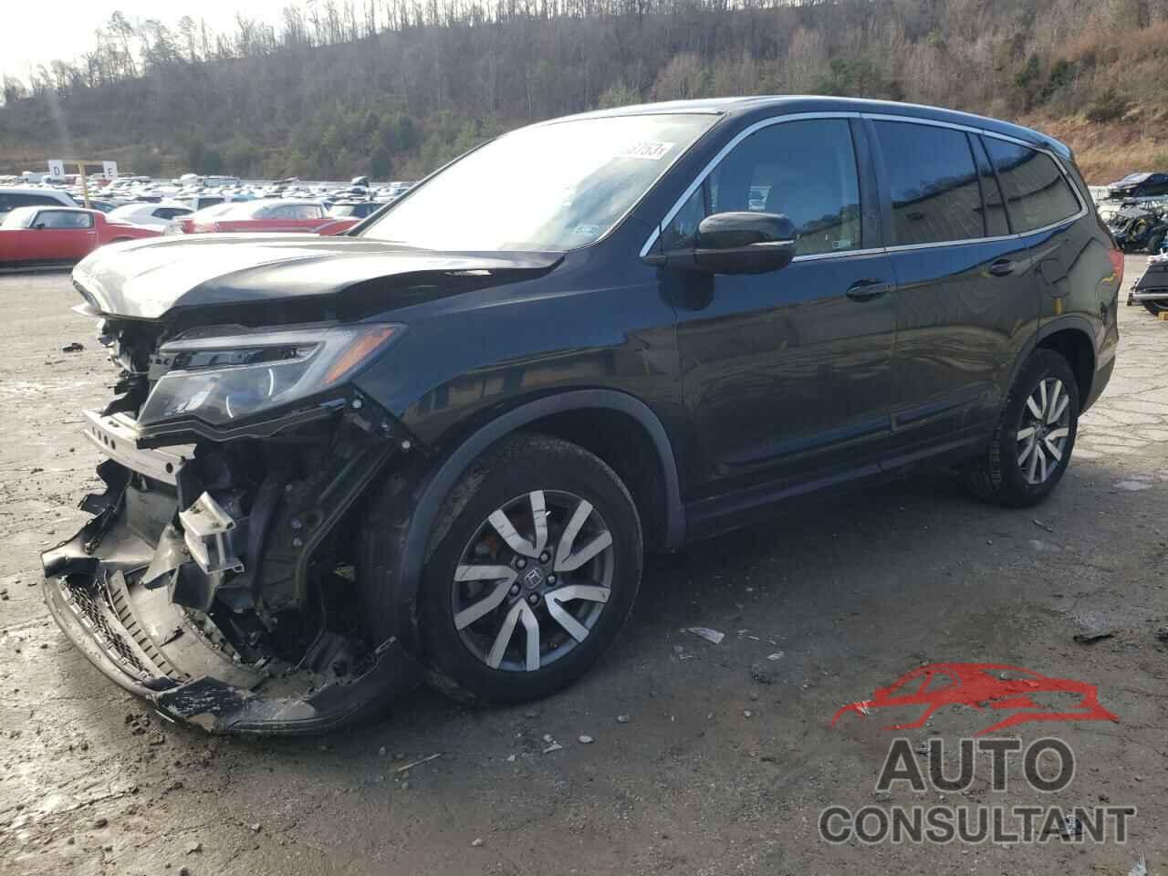 HONDA PILOT 2019 - 5FNYF6H59KB006582