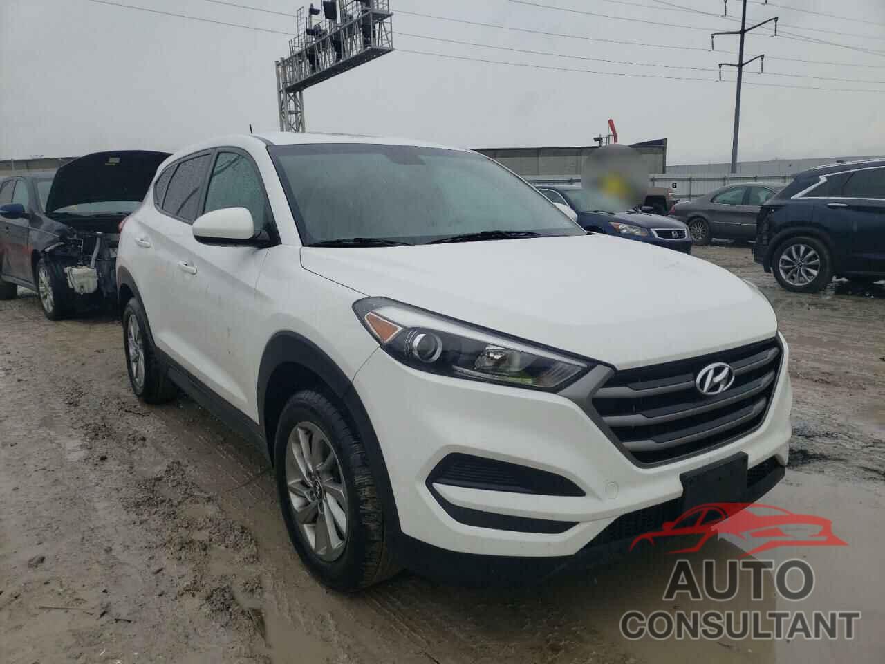 HYUNDAI TUCSON 2016 - KM8J23A44GU144764