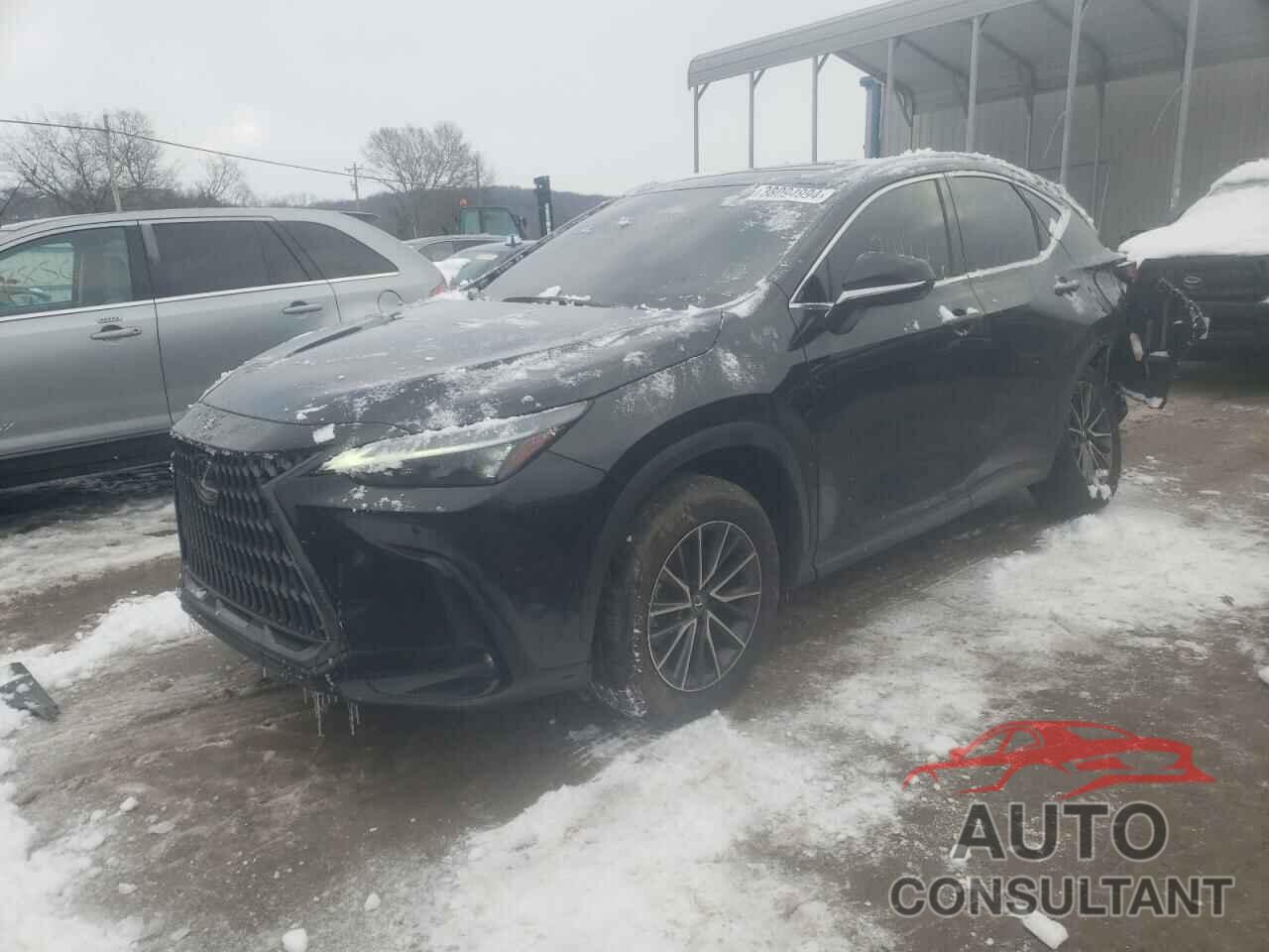 LEXUS NX 250 2022 - JTJGDCAZ1N5000551