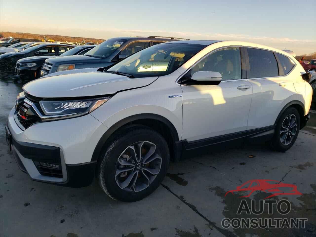HONDA CRV 2022 - 5J6RT6H8XNL041327