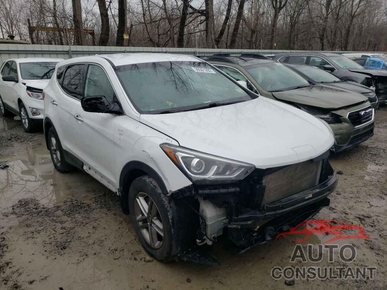 HYUNDAI SANTA FE 2017 - 5NMZT3LB0HH016174