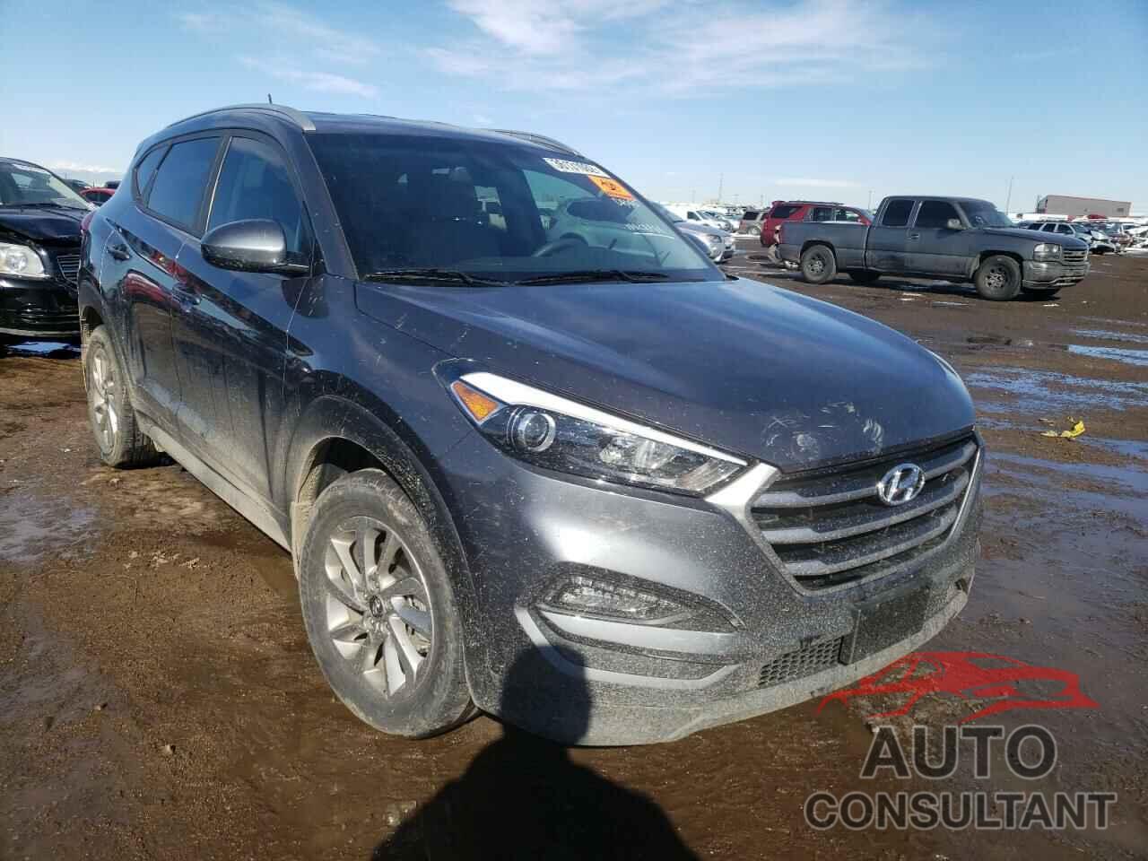 HYUNDAI TUCSON 2017 - KM8J33A4XHU528563