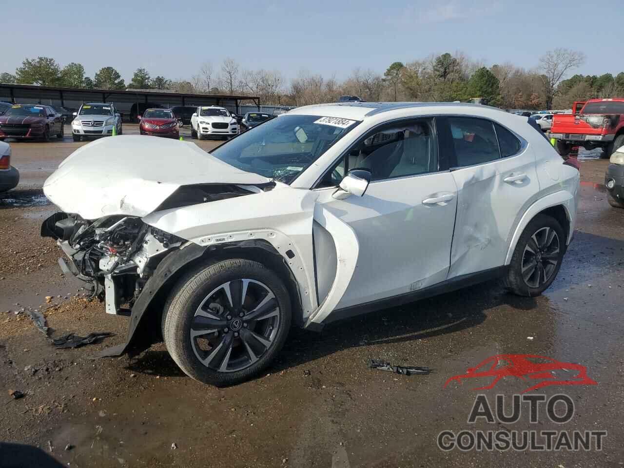 LEXUS UX 200 BAS 2022 - JTHP3JBH6N2046196