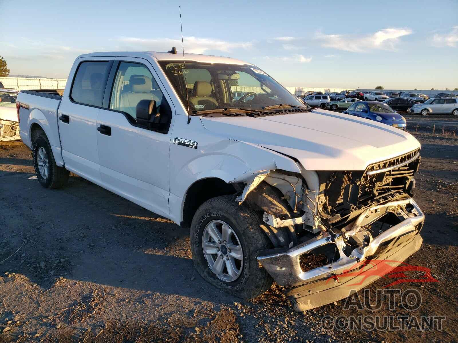 FORD F150 2019 - 1FTEW1EB1KKD14302