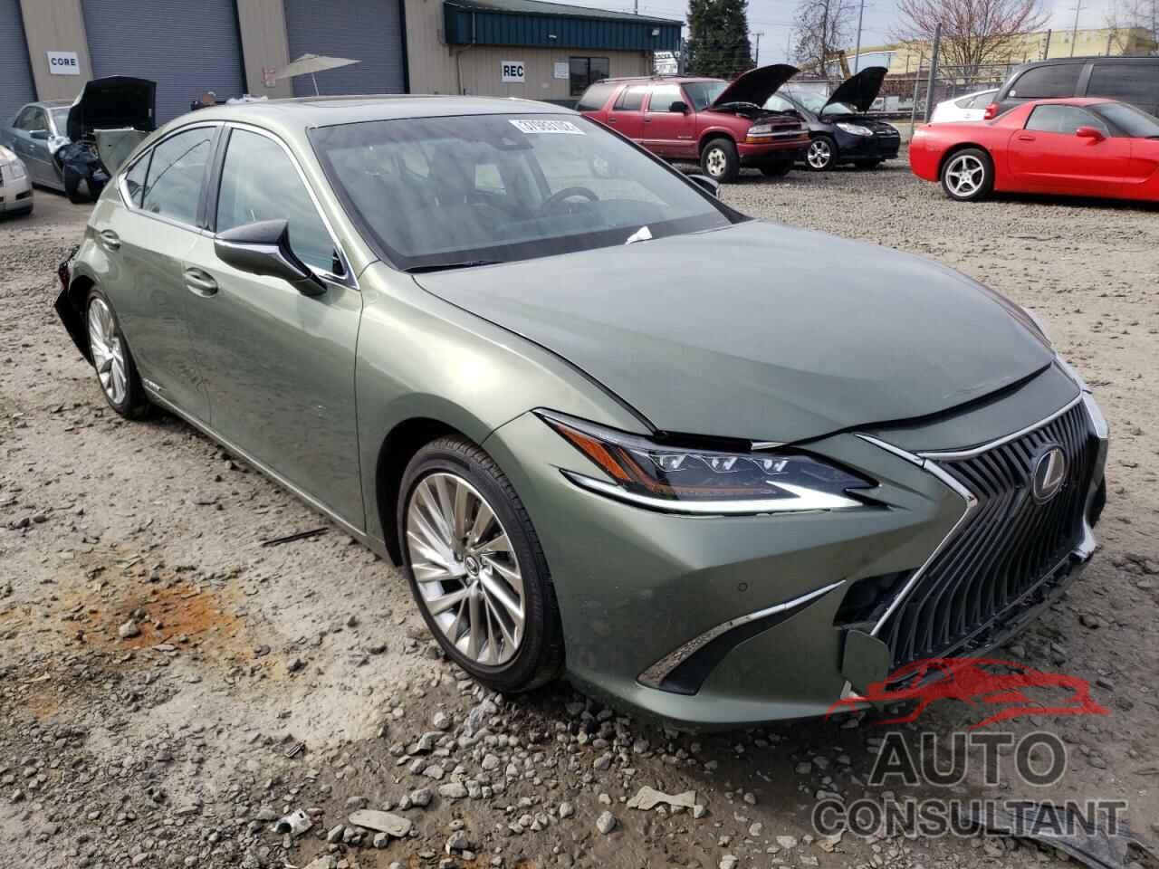 LEXUS ES300 2019 - JTHB21B16K2021780