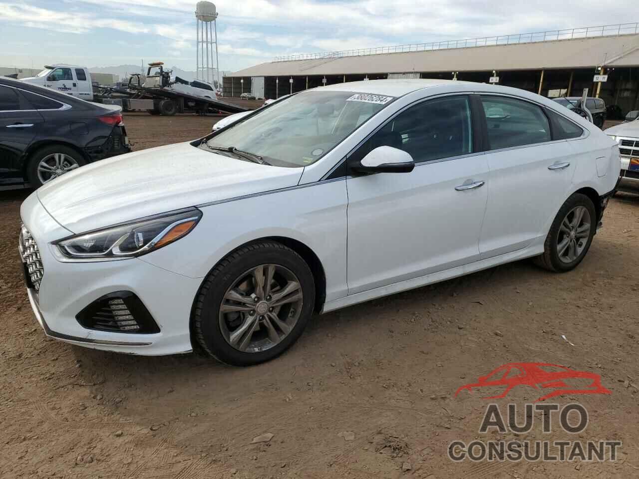 HYUNDAI SONATA 2019 - 5NPE34AF5KH775536