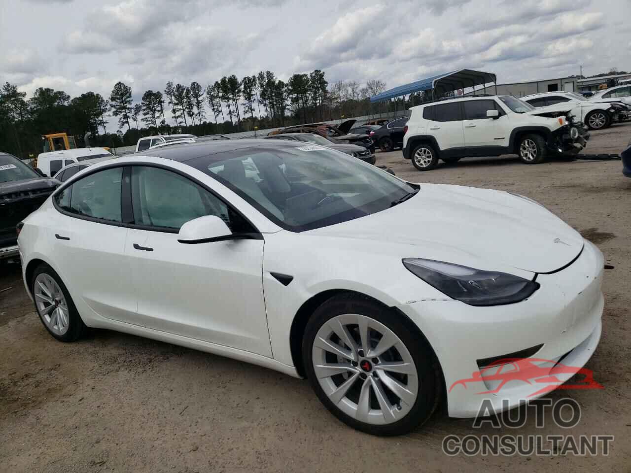 TESLA MODEL 3 2021 - 5YJ3E1EA0MF019239