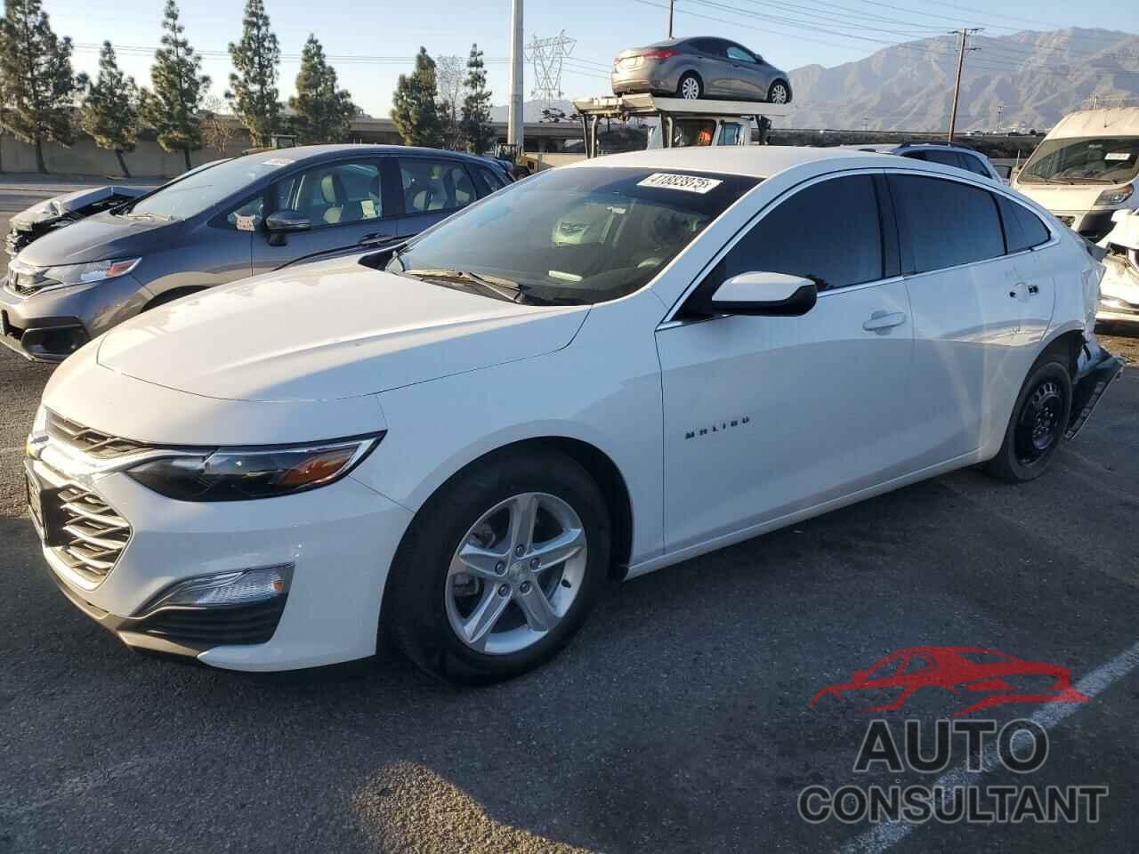 CHEVROLET MALIBU 2020 - 1G1ZC5ST0LF148873