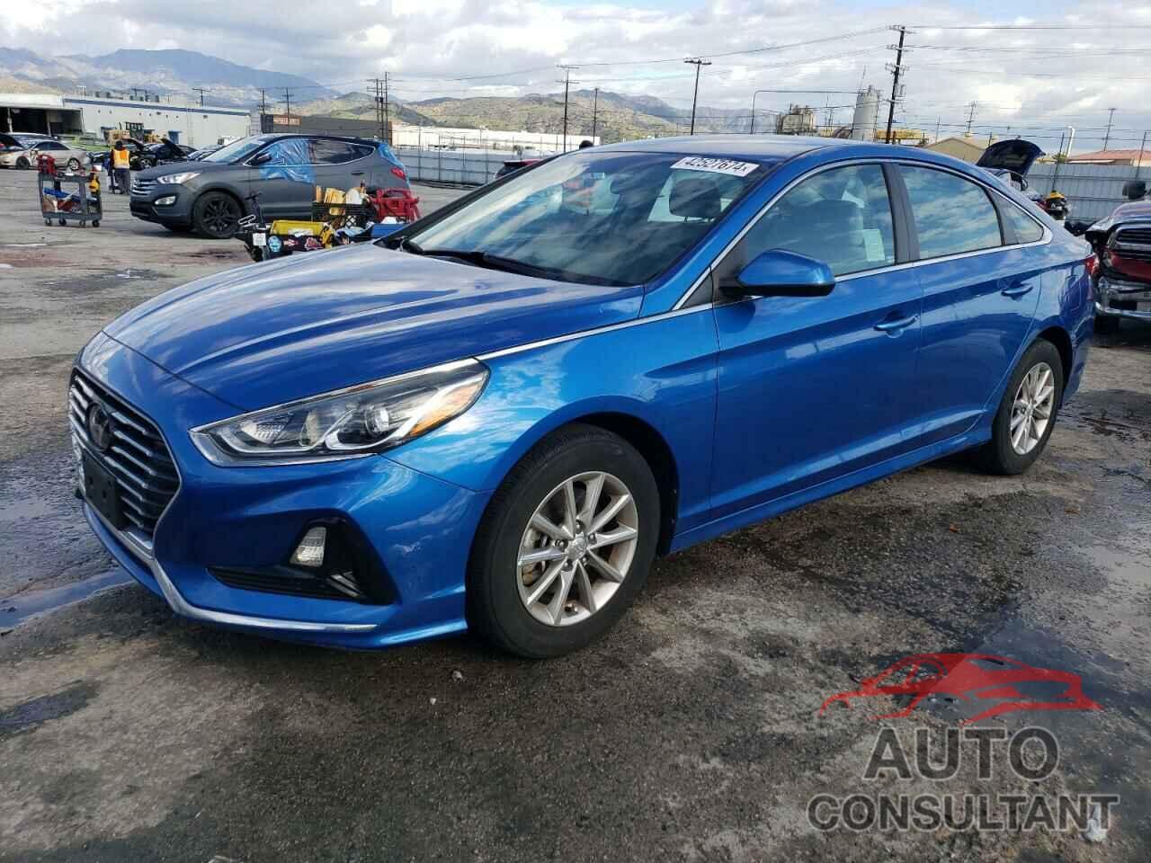 HYUNDAI SONATA 2019 - 5NPE24AF9KH755003