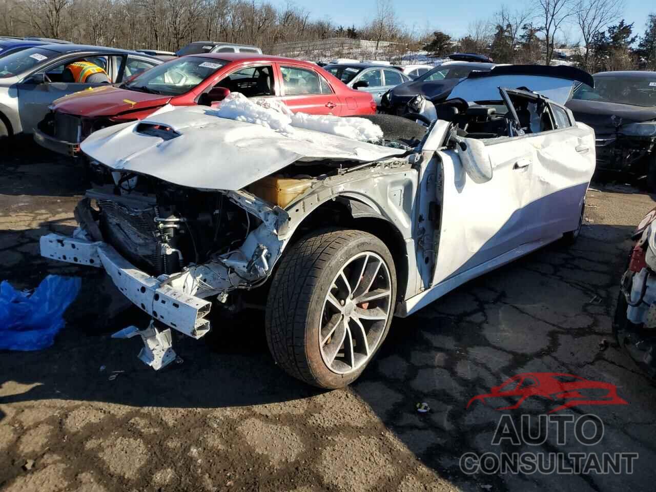 DODGE CHARGER 2016 - 2C3CDXGJ0GH309955