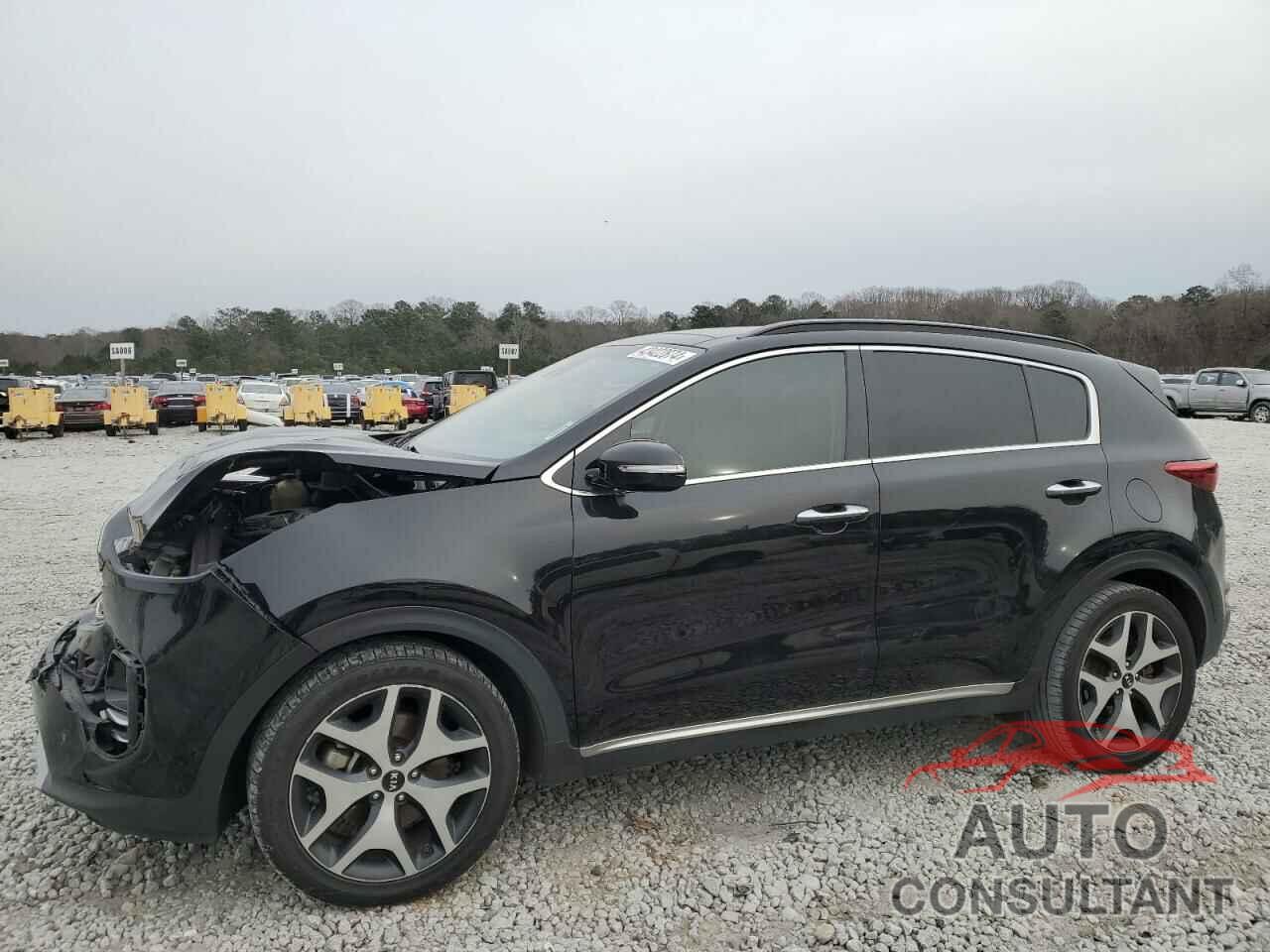 KIA SPORTAGE 2019 - KNDPR3A61K7581284