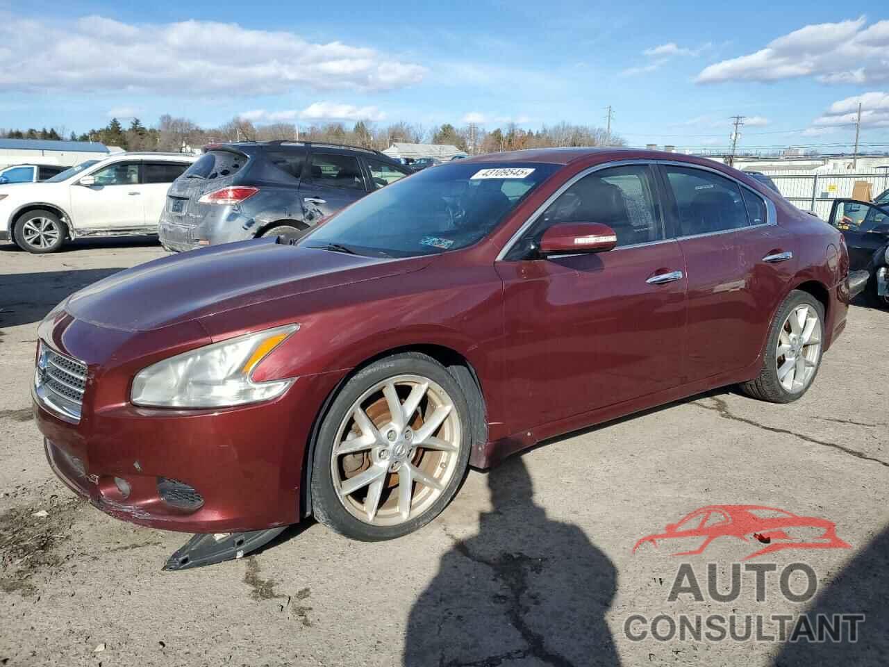 NISSAN MAXIMA 2010 - 1N4AA5AP7AC815179