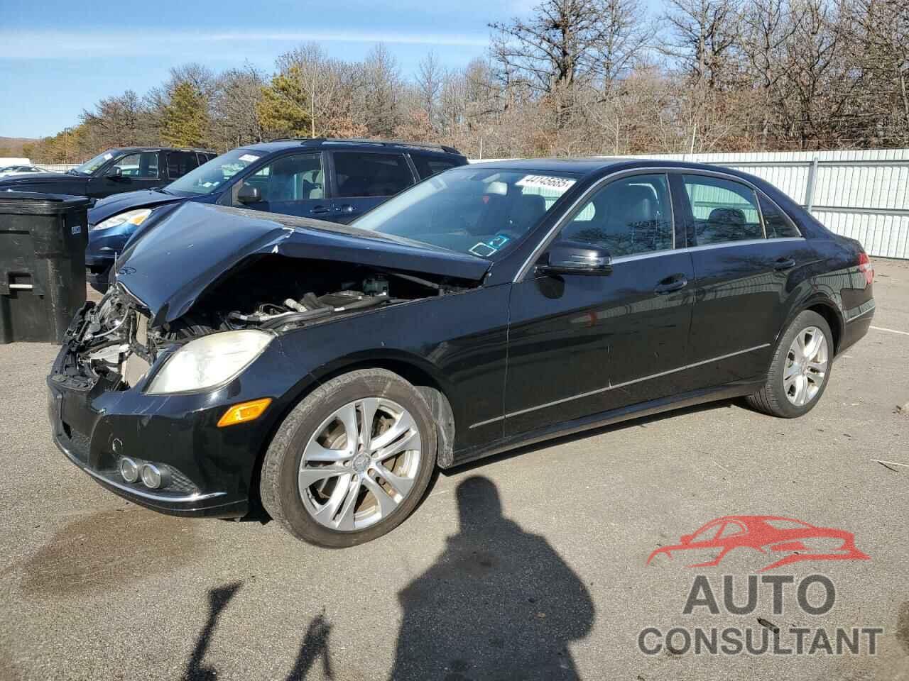 MERCEDES-BENZ E-CLASS 2010 - WDDHF8HB8AA090019