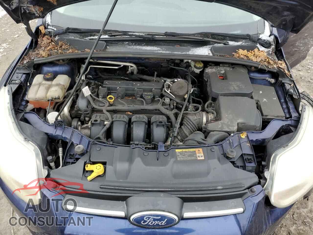 FORD FOCUS 2012 - 1FAHP3F26CL163723