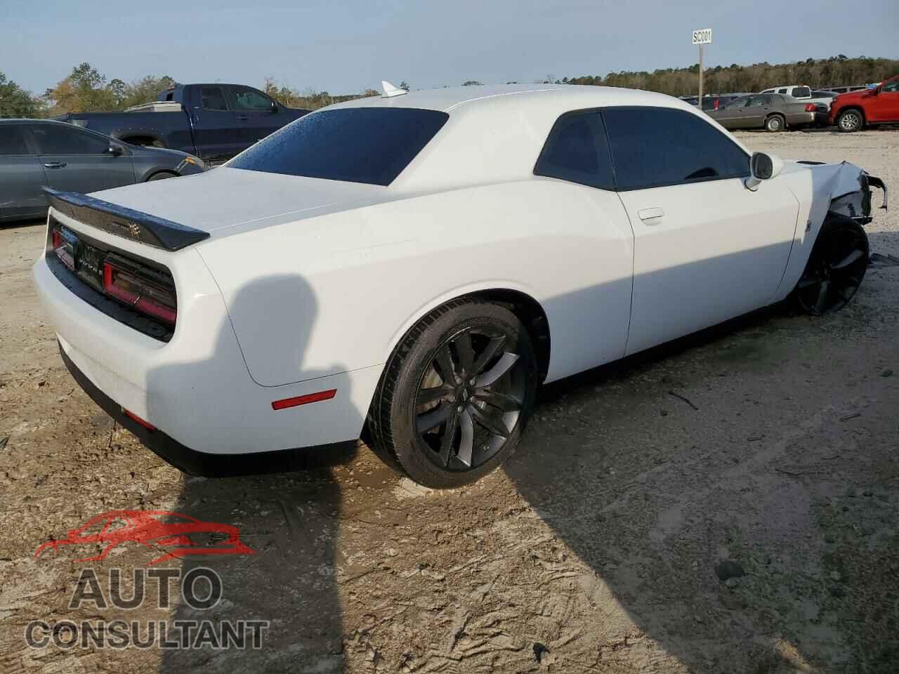 DODGE CHALLENGER 2019 - 2C3CDZFJXKH642377