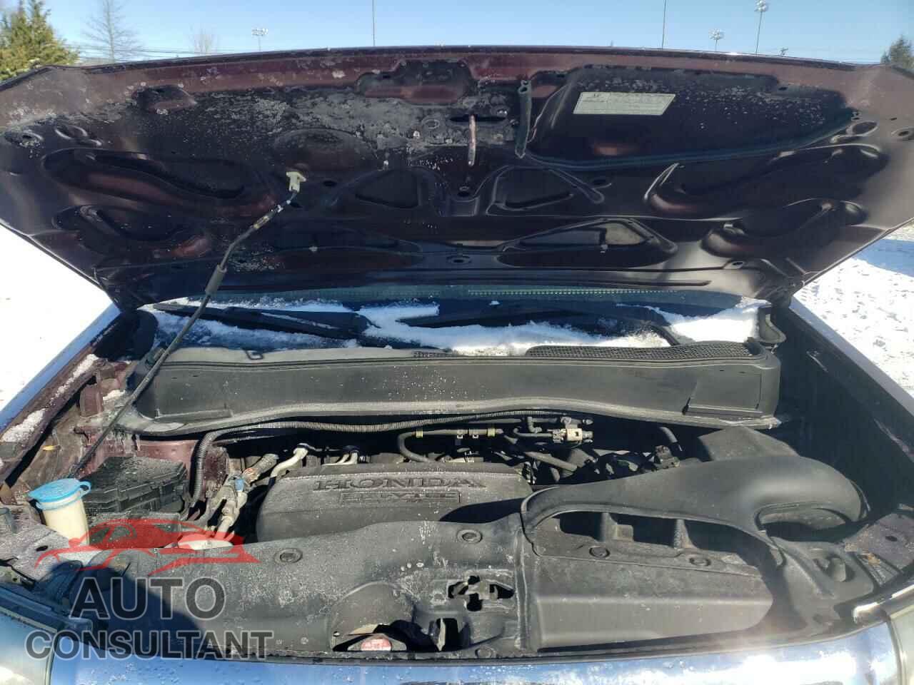 HONDA PILOT 2011 - 5FNYF4H59BB097003
