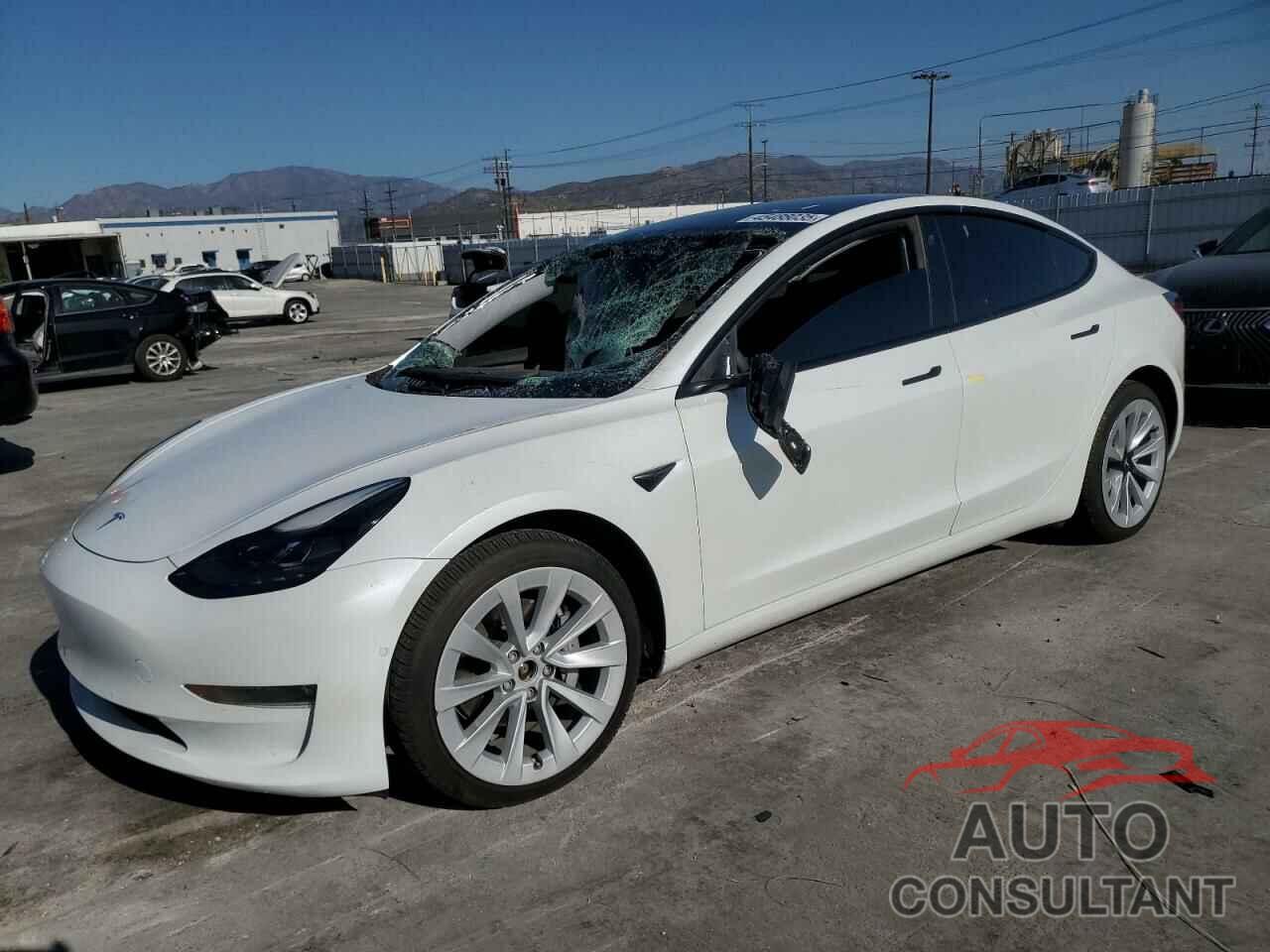 TESLA MODEL 3 2021 - 5YJ3E1EB1MF064716