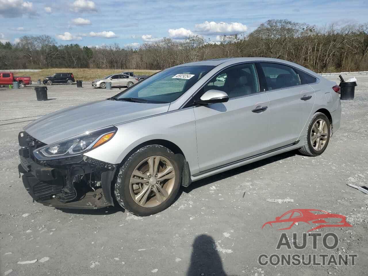 HYUNDAI SONATA 2019 - 5NPE34AF3KH821011