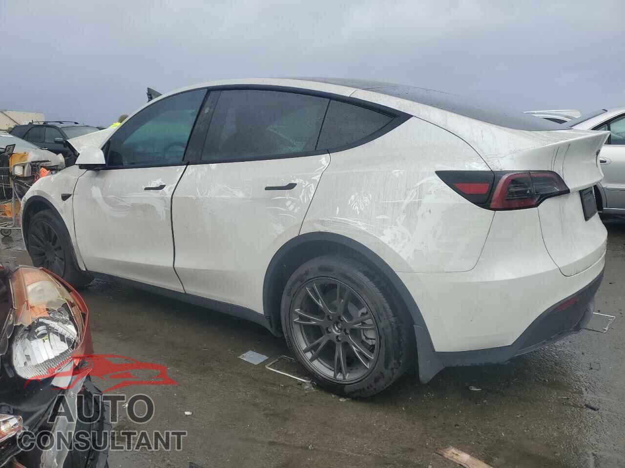 TESLA MODEL Y 2024 - 7SAYGDEE8RF184292