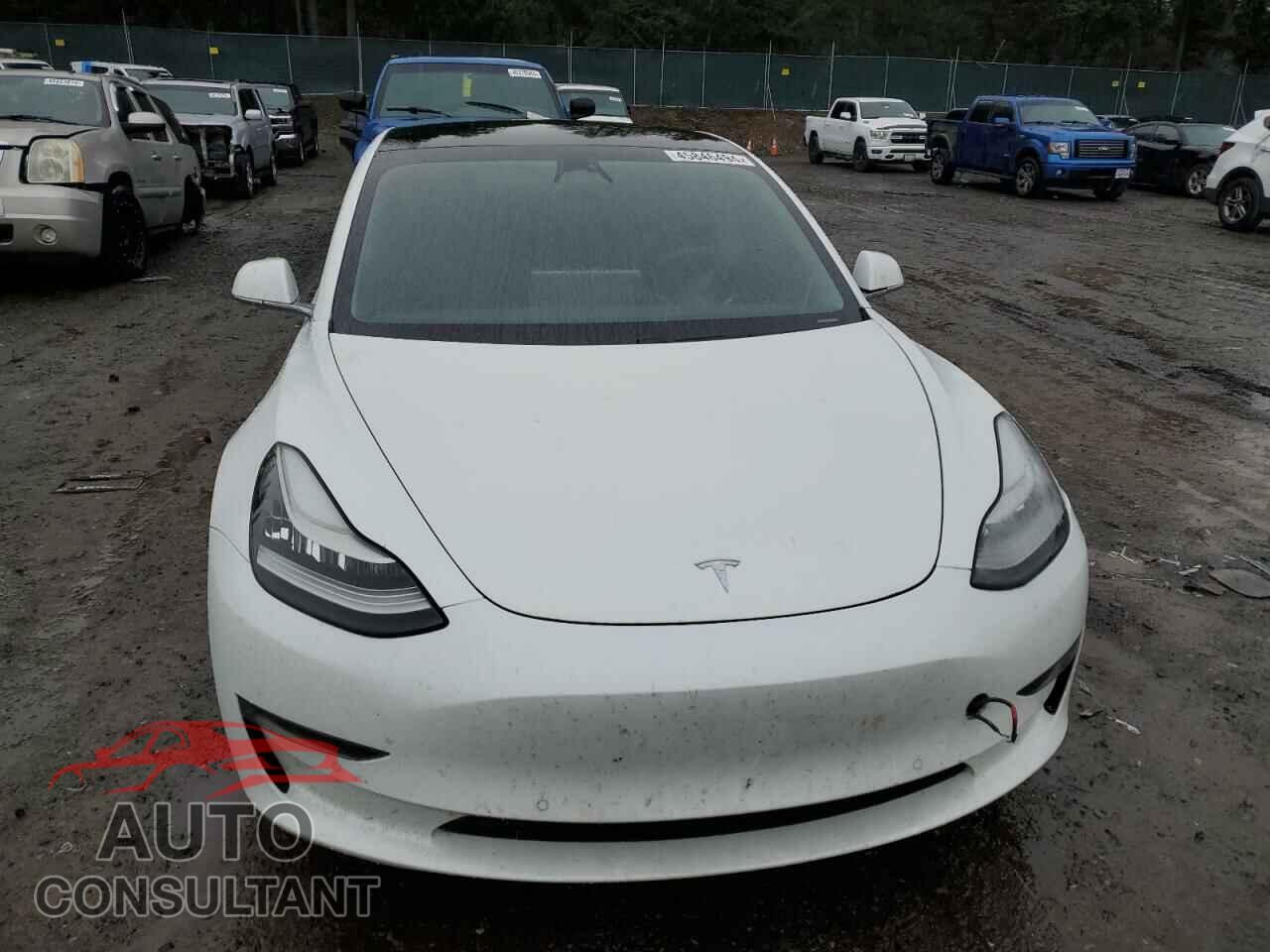 TESLA MODEL 3 2020 - 5YJ3E1EA6LF504659