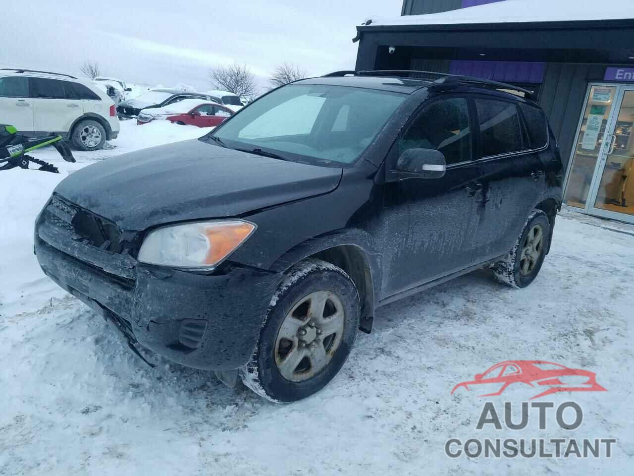 TOYOTA RAV4 2011 - 2T3BF4DV5BW164511