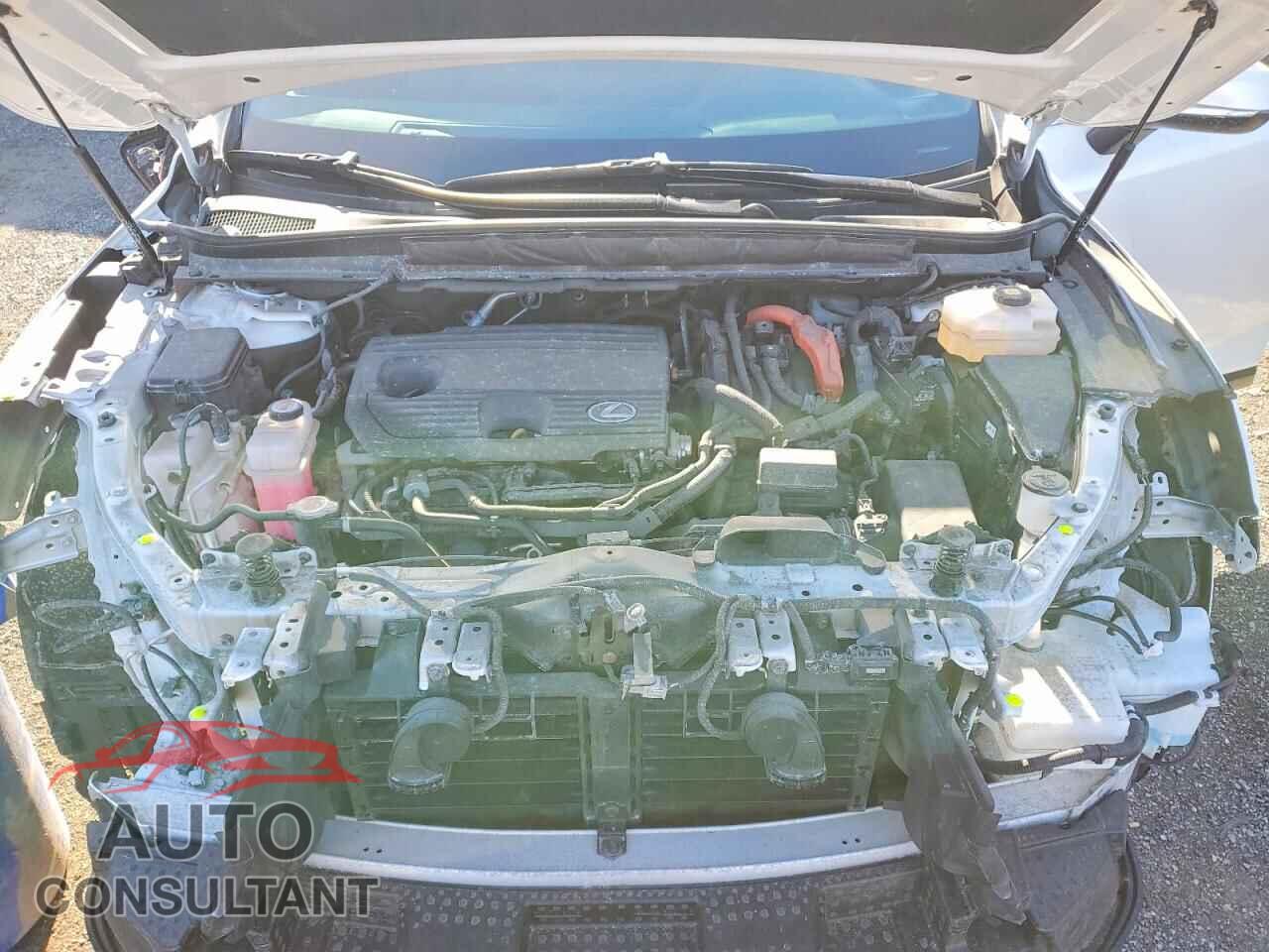 LEXUS UNKNOWN 2023 - 2T2BBMCAXPC016930