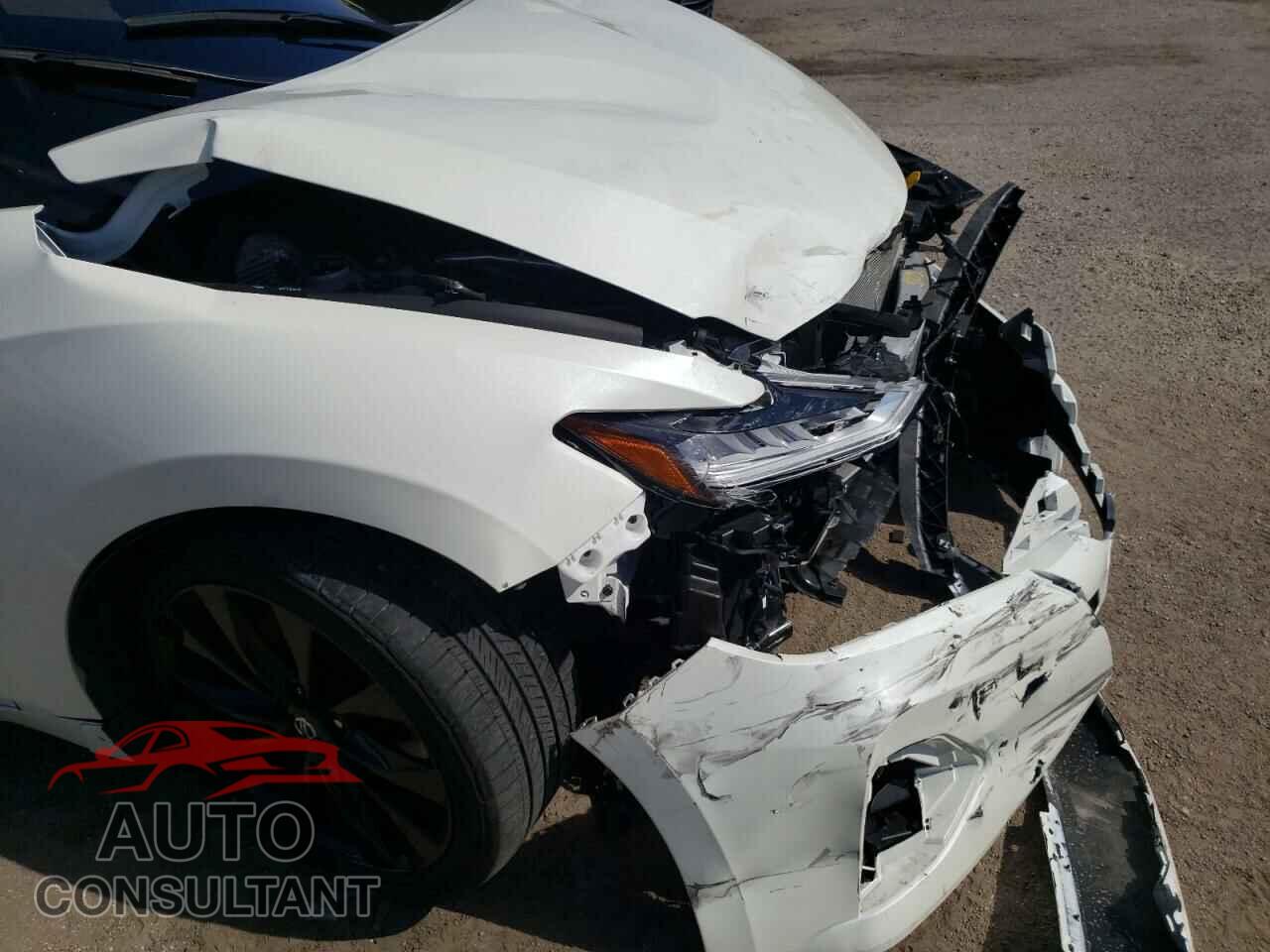 NISSAN MAXIMA 2021 - 1N4AA6EV2MC503290