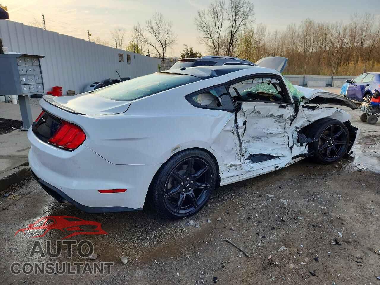 FORD MUSTANG 2019 - 1FA6P8TH8K5194293