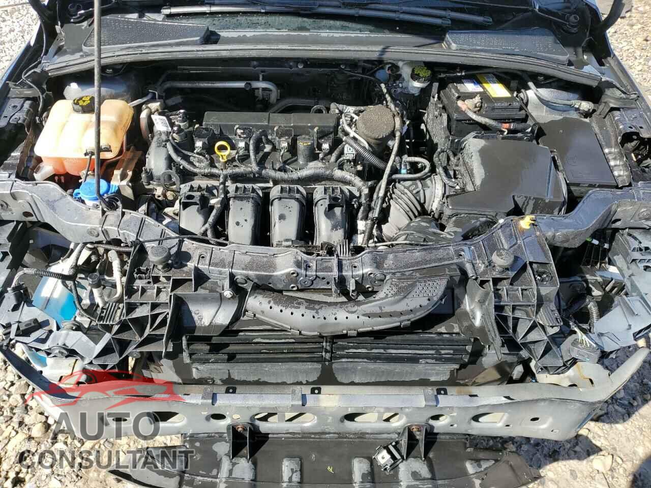 FORD FOCUS 2016 - 1FADP3K24GL326153