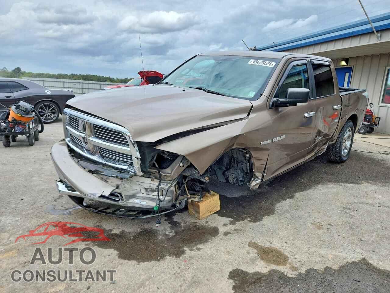 DODGE All Models 2010 - 1D7RV1CT7AS120975