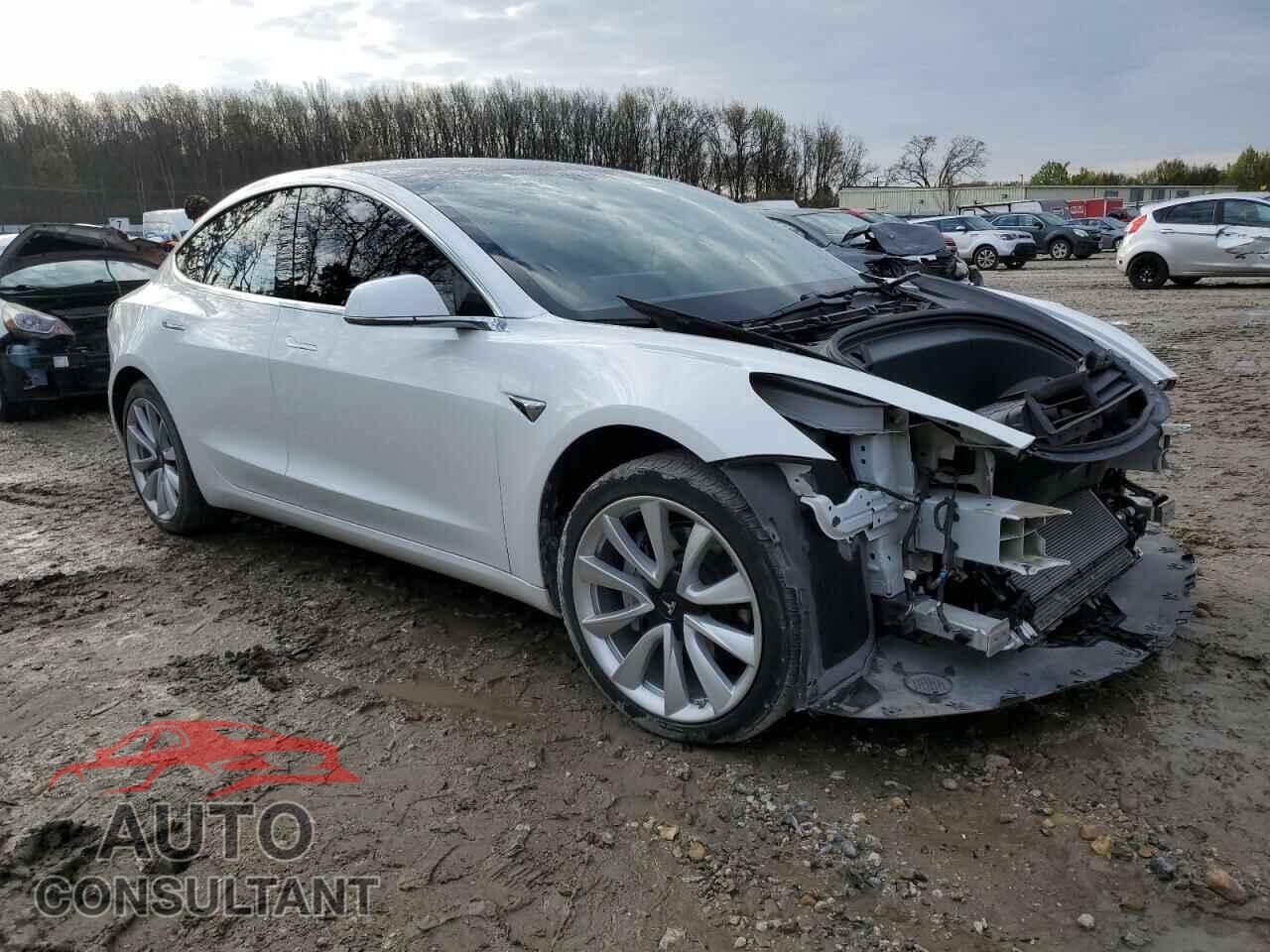 TESLA MODEL 3 2019 - 5YJ3E1EA5KF301387