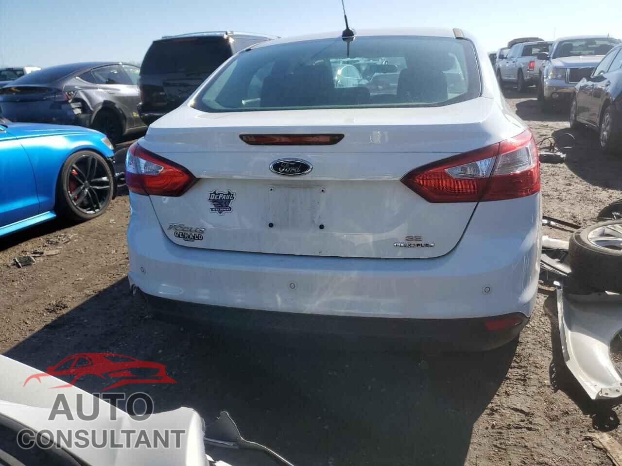 FORD FOCUS 2014 - 1FADP3F21EL160245