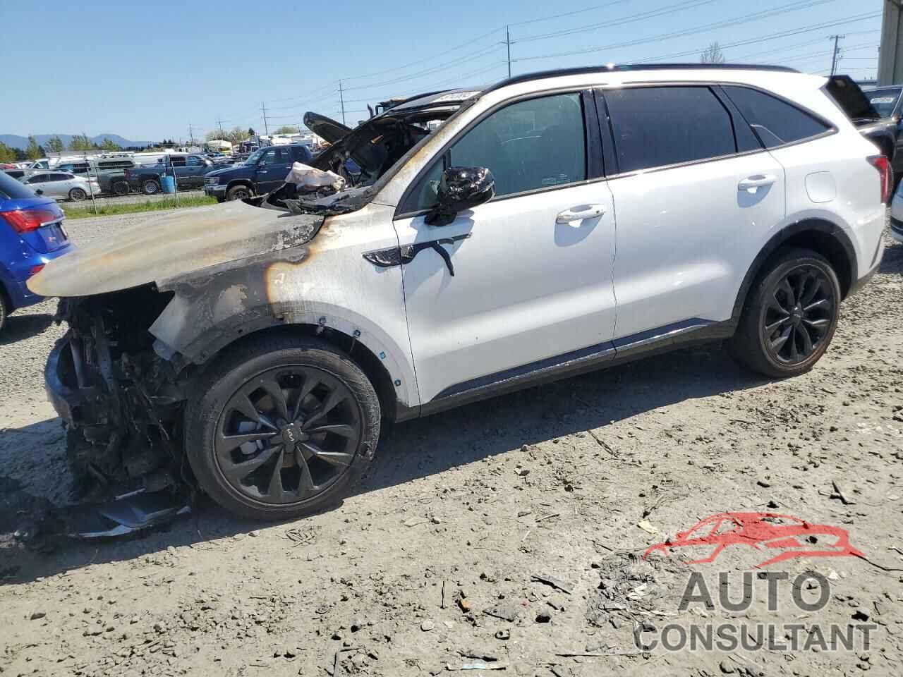 KIA SORENTO 2023 - 5XYRKDLF6PG221079