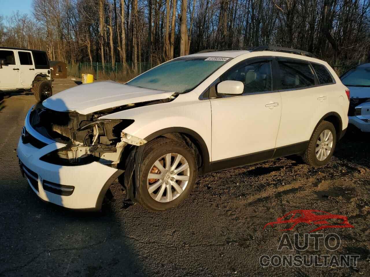 MAZDA CX-9 2009 - JM3TB38V990176154