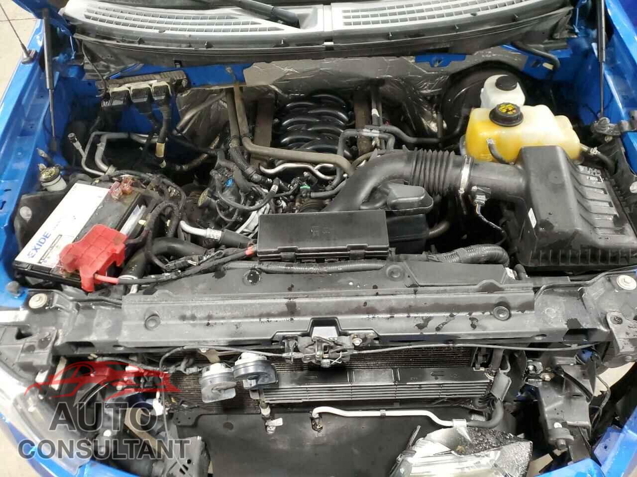 FORD F-150 2013 - 1FTFX1CF4DFD98988