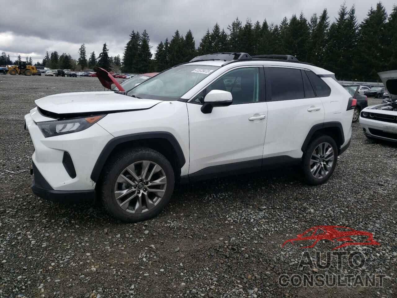 TOYOTA RAV4 2019 - 2T3G1RFV3KC006491