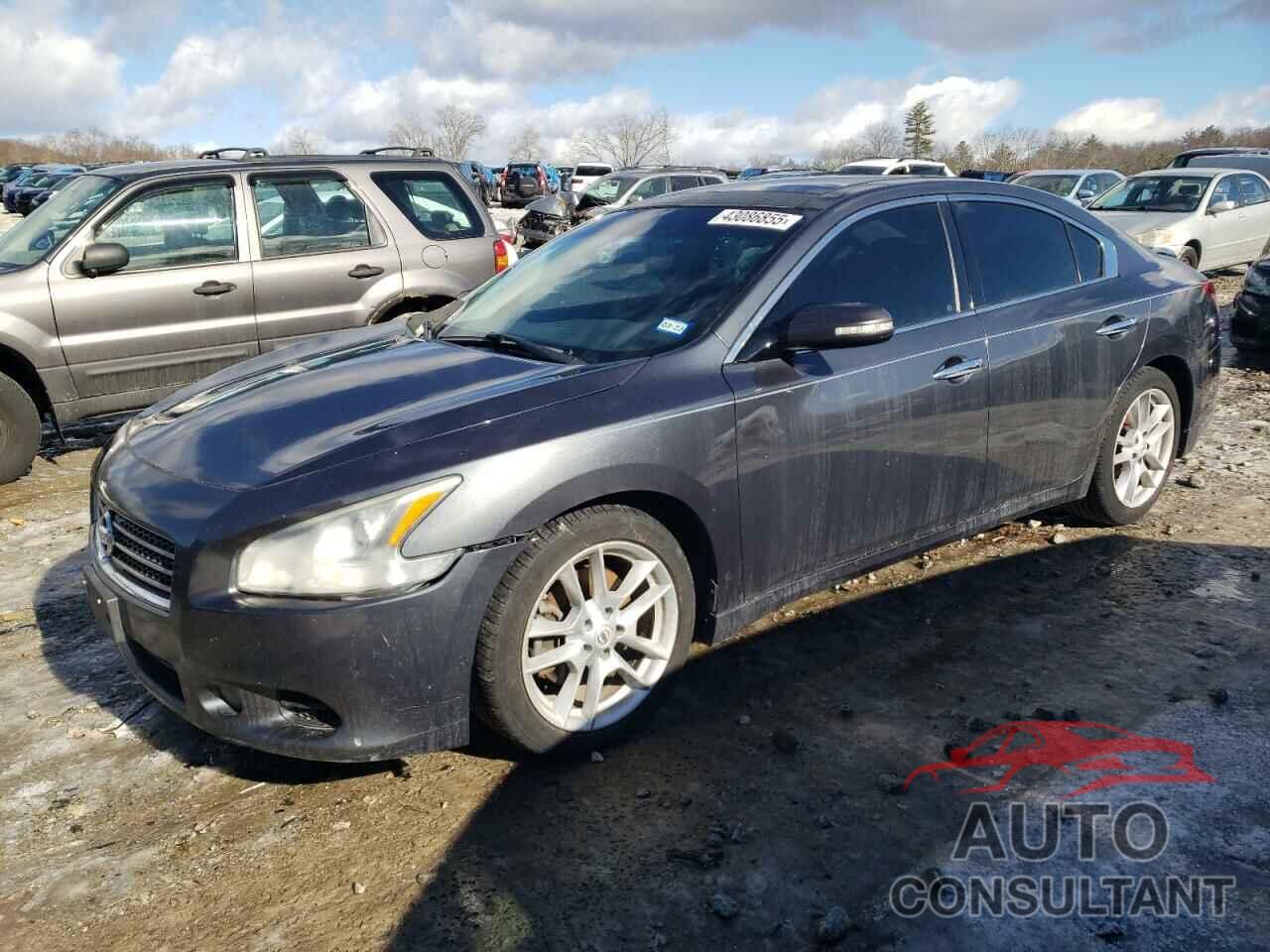 NISSAN MAXIMA 2011 - 1N4AA5AP3BC810692