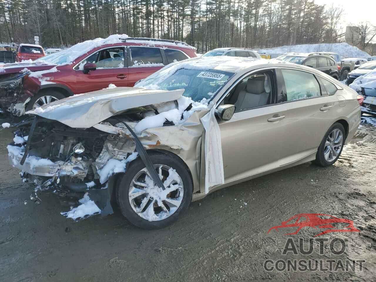 HONDA ACCORD 2019 - 1HGCV1F14KA115185