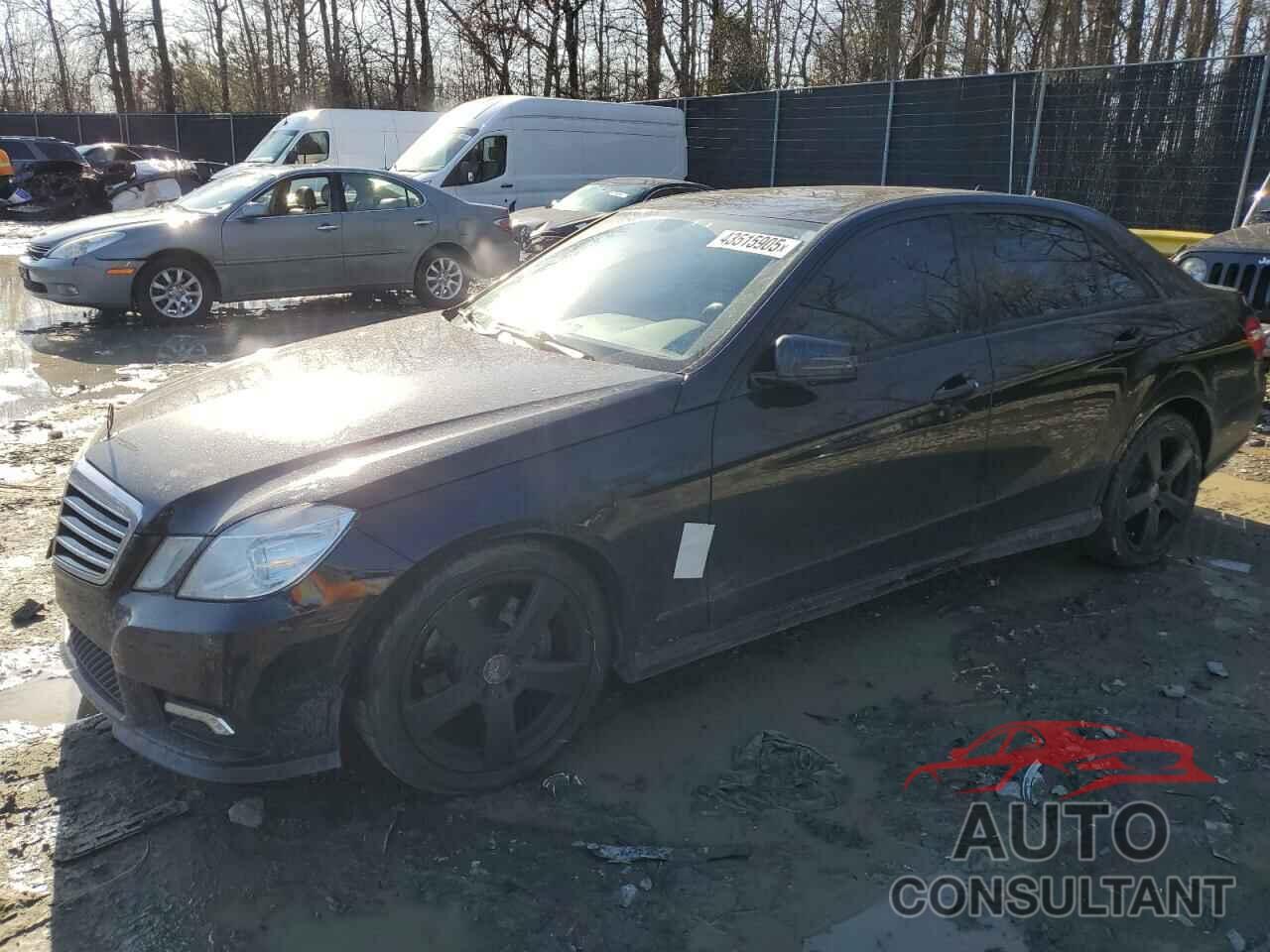 MERCEDES-BENZ E-CLASS 2011 - WDDHF8HB5BA457749
